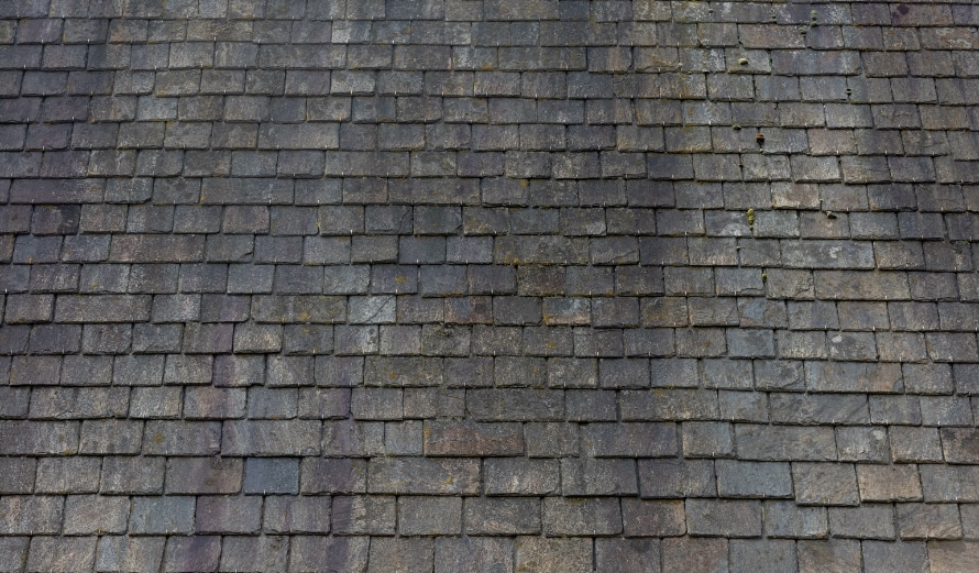 Image of a residential roof needing repair due to roof discoloration.