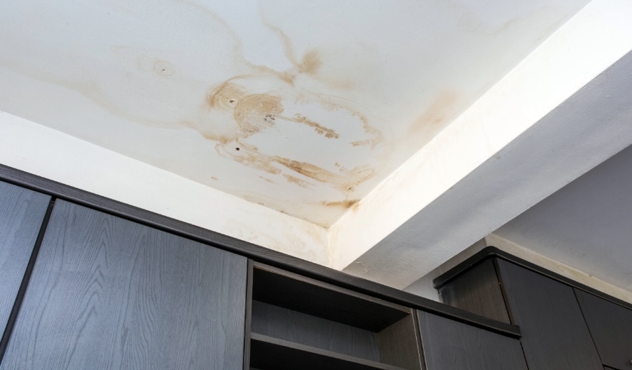 Image of a white celing with staining due to a water leak.