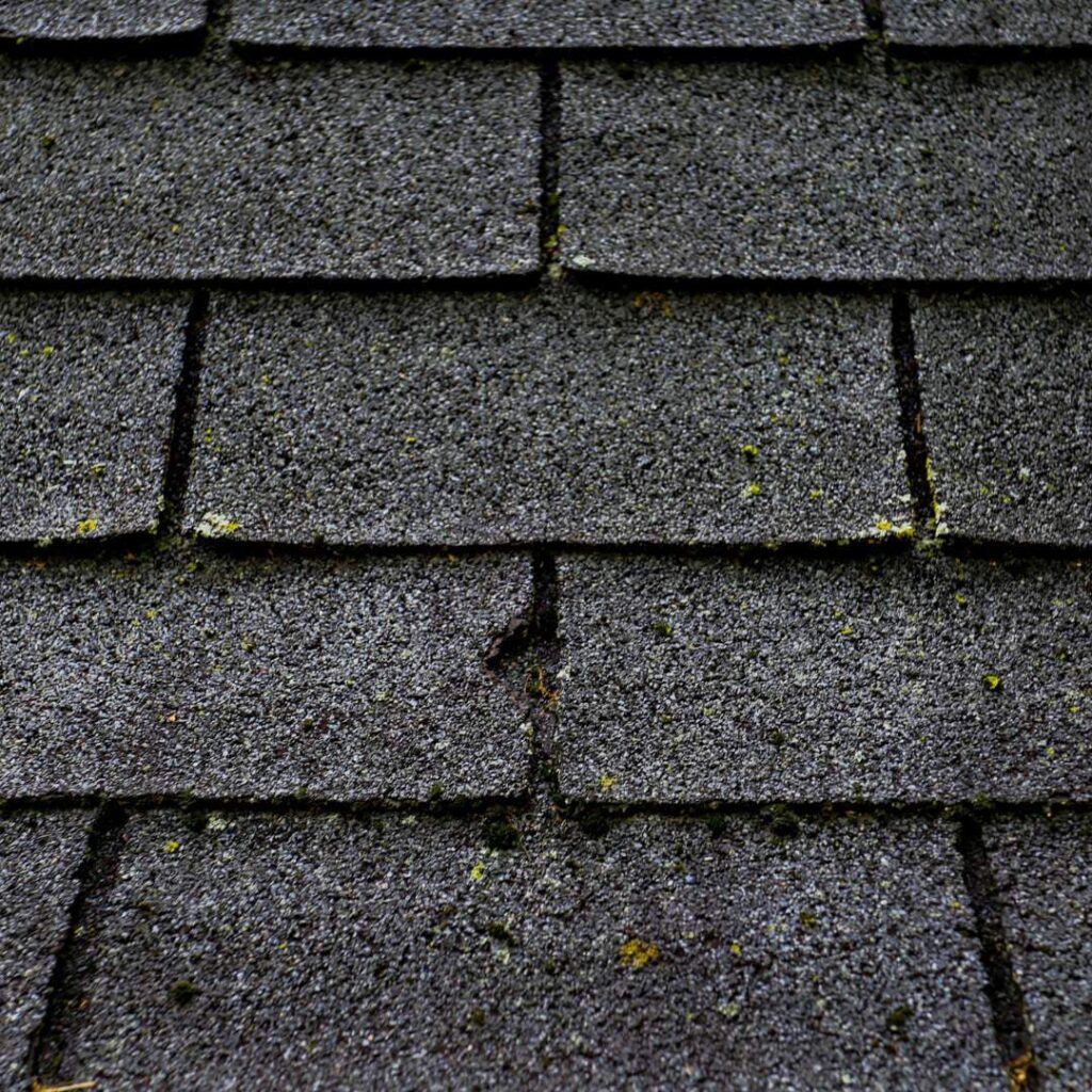 An image of old roof shingles indicating it's time for a roof replacement.
